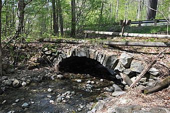 TownshendVT NegroBrookStoneArchBridgeUpstreamSide.jpg