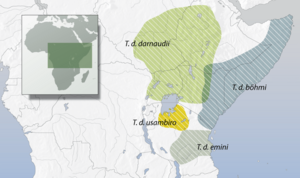 Trachyphonus darnaudii distribution.png