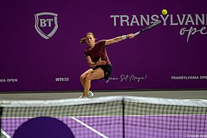 Transylvania Open 2026 - Mara Gae vs. Maja Chwalinska 2-6, 3-6 31.01.2026 (55078331514)
