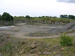 Trearne quarry south