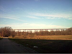 Tulip Viaduct