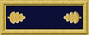Union army maj rank insignia
