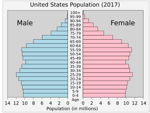 United States Age Pyramid
