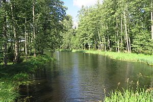Venesillanlahtea Kuivajärvellä Tammelassa
