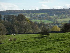 View from Conksbury to Youlgrave lane - geograph.org.uk - 1558578.jpg