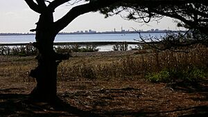 West Hayling Local Nature Reserve - geograph.org.uk - 1507529