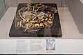 Woman's Head with Jewelry Preserved as Excavated