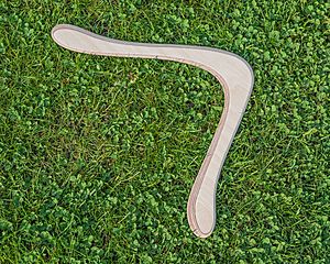 Wooden boomerang asv2021-05