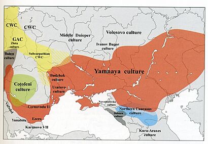 Ямная культура