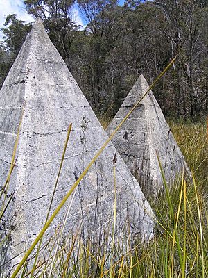 1803 - Yooroonah Tank Barrier - Detail of concrete tetrahedra (5056093b6).jpg