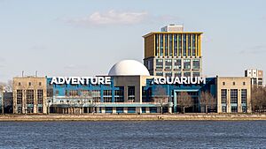 Adventure Aquarium (53572702368).jpg
