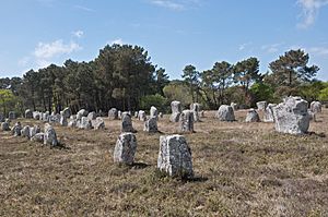 Alignement Kerlescan Carnac