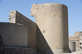 Ani Walls Between inner and outer wall 5482