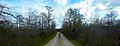 Big Cypress National Preserve - Camping Trail