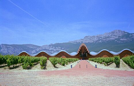 Bodegas Ysios, junio de 2007 (4)