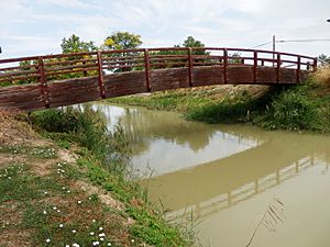 Canal Imperial Aragon Zaragoza 2