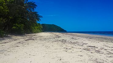 Cape Tribulation from the South Beach 1.jpg