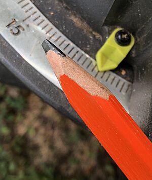 Carpenter's pencil on the job