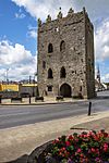 Castles of Munster, Kilmallock, Limerick (King John's Castle) - geograph.org.uk - 1392873.jpg