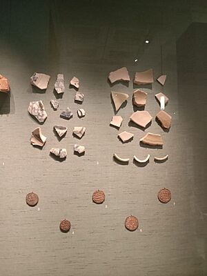 Chinese porcelain and coins of Bengal Sultans in British Museum