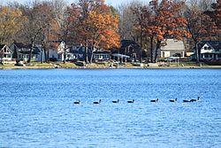 Clark Lake with geese Columbia Township Michigan