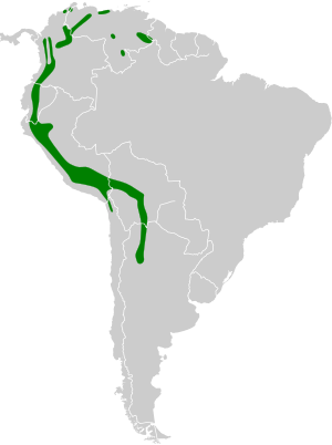 Colibri coruscans map.svg