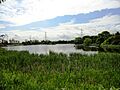 Country Park lake - geograph.org.uk - 3207557