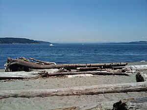 Dalcopassage.from.Owensbeach.looking.north