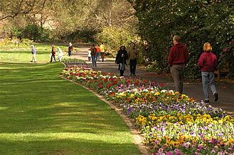 Descanso Gardens walkway