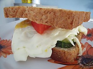 EggSandwich