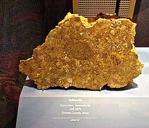 Estherville 1879 meteorite - Smithsonian