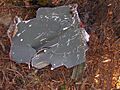 F4-phantom-wreckage1