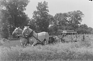 Feature. Agricultural School BAnQ P48S1P06852