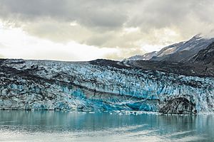 Glaciar Lamplugh, Parque Nacional Bahía del Glaciar, Alaska, Estados Unidos, 2017-08-19, DD 154