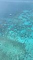 Hastings Reef