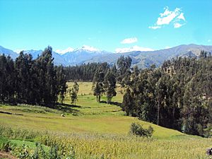 Huaraz-prairie