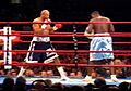 Jameel McCline vs. Samuel Peter