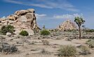 Joshua Tree National Park 2013.jpg