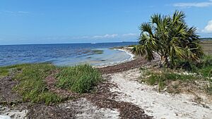 Keaton Beach coast