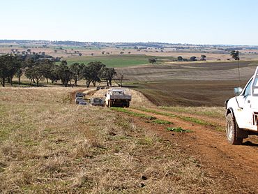 Landscape near Cumnock, NSW.jpg