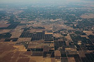 Aerial view of Madera