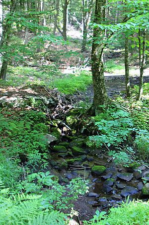 Marsh Run looking upstream