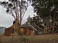 Martinup homestead and outbuildings, April 2021 09