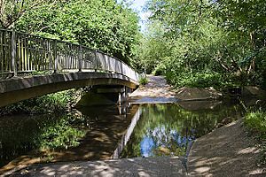 Monks Brook at Doncaster Drove