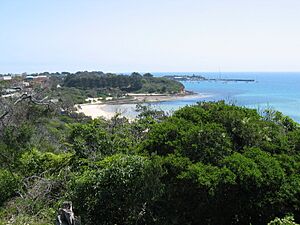 Mornington yacht club from Mills
