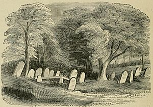 Moycreddin cemetery 1874