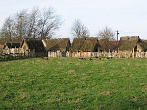 Murton Park Viking Village
