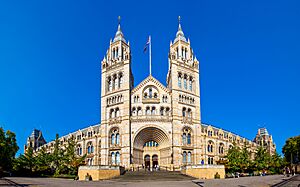 Natural History Museum London UK.jpg
