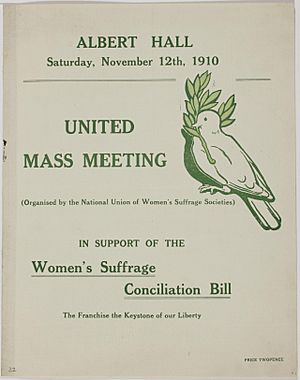 Notice for United Mass meeting at Albert Hall, 12 Nov 1910. (22502009537)