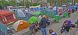 Occupy sf